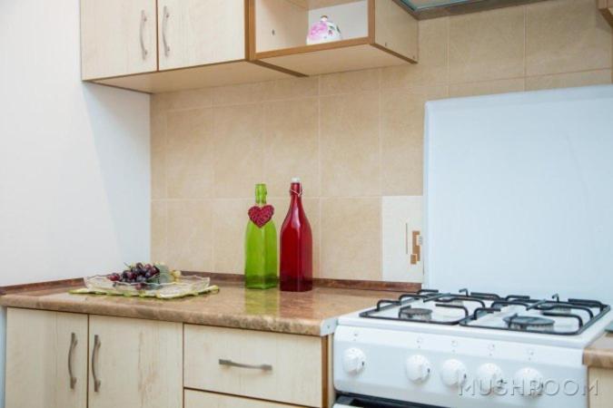 Apartment Kostyushka Lviv Eksteriør bilde
